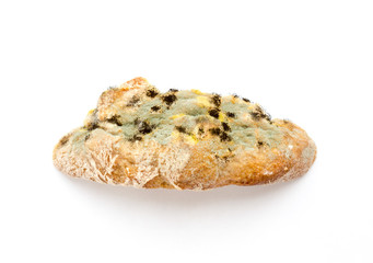 Moldy bread.