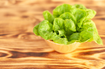 Fresh green lettuce leaves in a bowl on a wooden background, soft focus