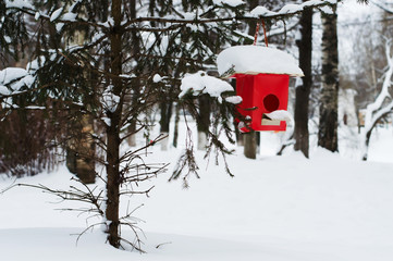 bird feeder red on a tree branch in the winter snow-covered forest Park