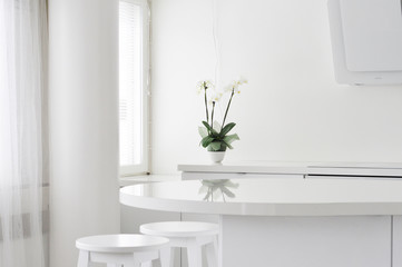 A light and modern home office kitchen in Finland. A clean interior with a white orchid reflecting from the table surface