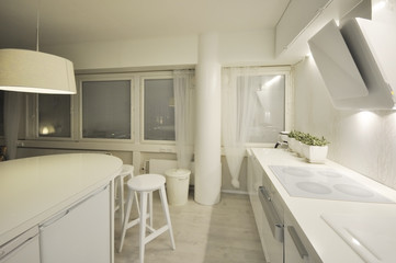 An empty, clean and modern home kitchen with white cabinets, green plants on a table and a cooker hood and a tap on a background.
