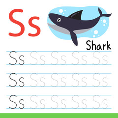 worksheet vector design, line drawing vector design