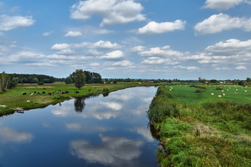 Notec River and rural landscape in summer in Poland.