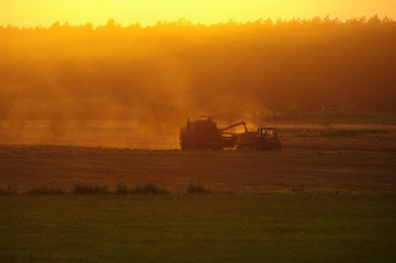 Naklejka premium Harvester against hot orange sunset background