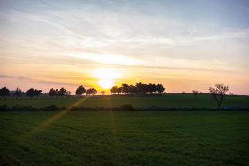 sunset over green field