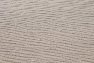 Fototapeta na wymiar Geriffelter Sand an der Küste in Jütland / DK