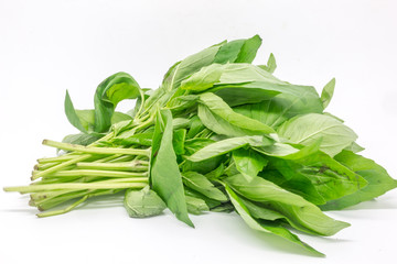 A bunch of basil against a white background