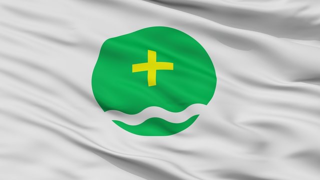 Rezina City Flag, Country Moldova, Closeup View