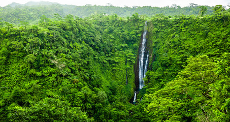 Vibrant tall Papapapaitai falls in the forest of Upolu island, Samoa.