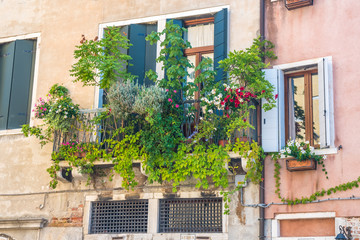 Fototapeta na wymiar houses with flowers on the windows in venice