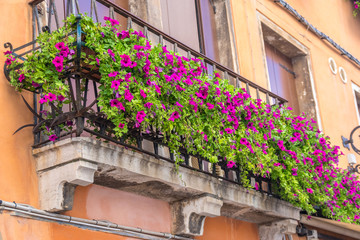 Fototapeta na wymiar houses with flowers on the windows in venice