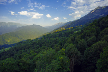 Obraz premium Roza Khutor Plateau Summer Alpine Ski Resort Landscape, Sochi, Russia. Close Up Of Alpine Meadow On A Background Of Caucasian Mountains