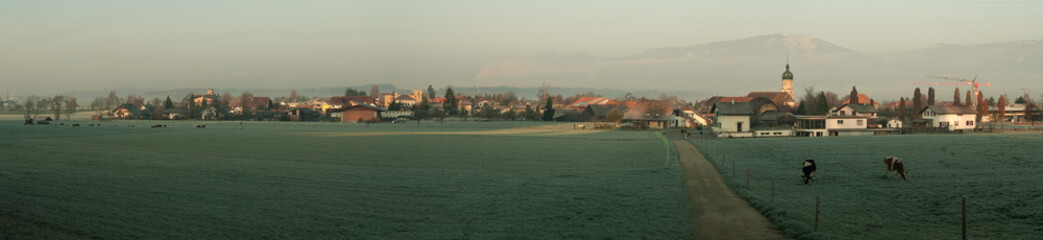 Panoramic view of village from the field, fog, autumn