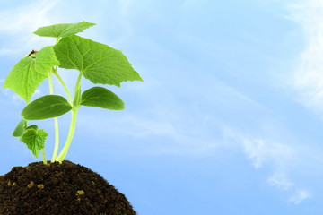 nature concept go green concept eco concept background
