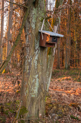 Birdhouse at the tree, autumn