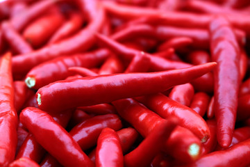 red chili background