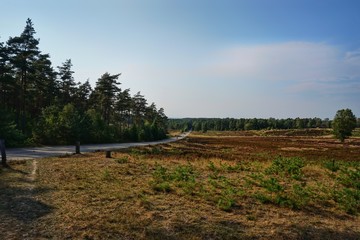 Landschaft, Natur in der Fischbeker Heide | Hamburg