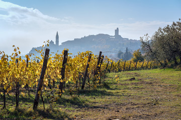 La campagna nella citt&agrave; di Castiglion Fiorentino, Toscana Italia