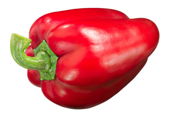 Yolo wonder sweet bell pepper