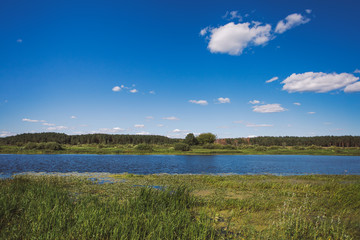 Beautiful sunny summer landscape. Blue sky and white fluffy clouds, green trees and wild grass,  river water background. Horizontal color photo.