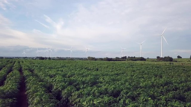 Aerial view of Windmills for electric power production at Huai Bong, Dan Khun Thot district, Nakhon Ratchasima. Large wind turbines were surrounded by corn field, Potato field and sugarcane field
