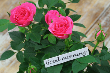 Good morning card with pink wild roses
