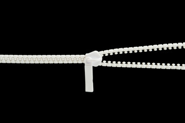white zipper snake