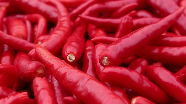 red chili rotate