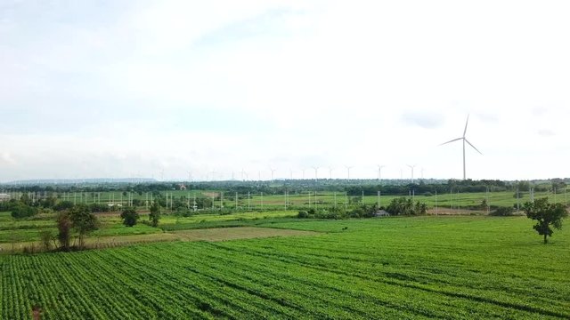 Aerial view of Windmills for electric power production at Huai Bong, Dan Khun Thot district, Nakhon Ratchasima. Large wind turbines were surrounded by corn field, Potato field and sugarcane field