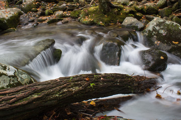 Fototapeta na wymiar Deadfall log across a portion of a creek in the Great Smoky Mountains in fall, horizontal aspect