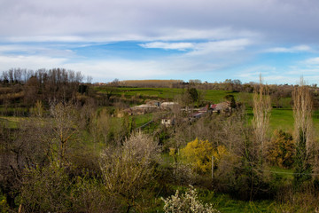 Campagna calabra