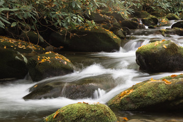 Intimate mountain landscape with water flowing over moss covered rocks with fall leaves, rhododendrons, horizontal aspect