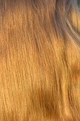 background from flaxen hair. vertical