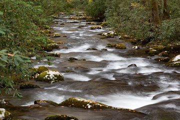 Low view down a rushing mountain stream in a fall landscape with moss covered rocks and rhododendron, Great Smoky Mountains, horizontal aspect