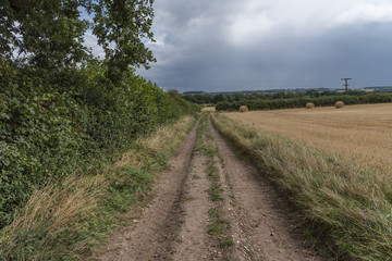 Fototapeta na wymiar Path along field with storm clouds