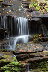 Waterfall across moss and fall leaves on wet rocks, Great Smoky Mountains, vertical aspect