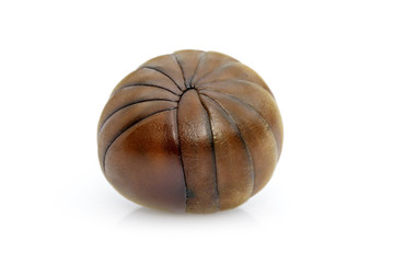 Image of pill millipede(Oniscomorpha) isolated on a white background. Insect. Animal.