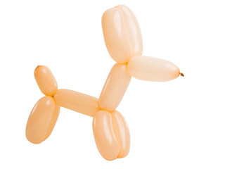dog from a balloon isolated