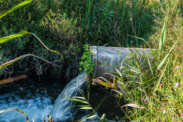 Concrete pipe transporting the poluted river in to a small pond.	