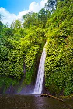 Waterfall hidden in the tropical jungle. Munduk, Bali, Indonesia
