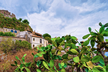 Fototapeta na wymiar Beautiful landscape with cactus plant and Savoca village Sicily