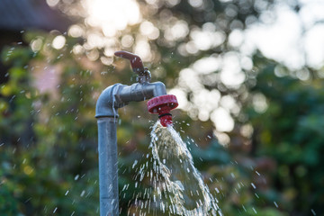 Flowing water on garden tap on green natural background at sunset.