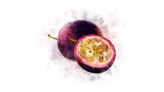 nimation of watercolor drawing of Passionfruit