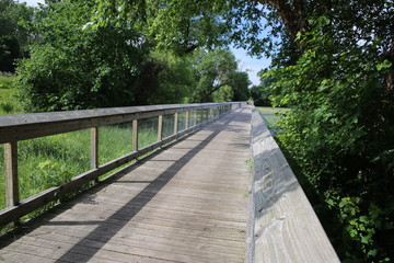 Fototapeta na wymiar A footbridge in the park