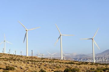 wind power farm