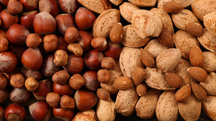 assorted of nuts