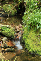 Edelfrauengrab Wasserfall