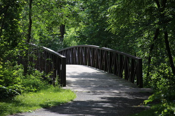 A footbridge in the park