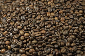 Close up of coffee beans nice and cleaned with white background. Concept: food, drinks, flavor