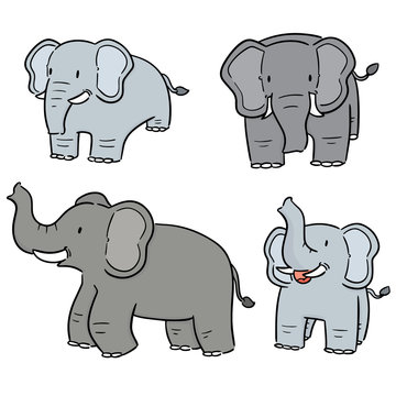 vector set of elephant